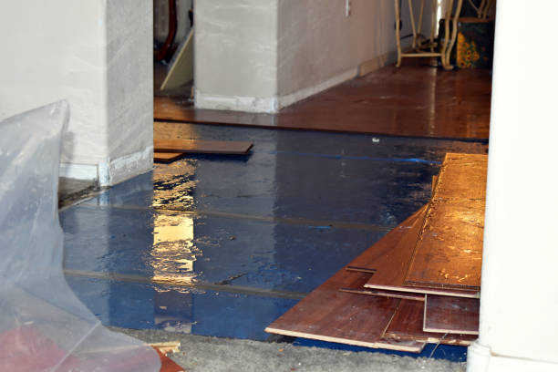 Professional Burst Pipe Cleanup technician working in Thornton, NH